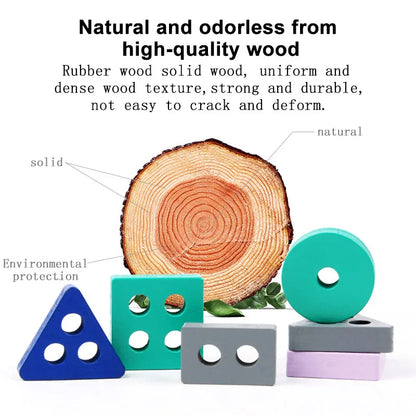 Montessori Toy Wooden Building Blocks Early Learning Educational Toys Color Shape Match Kids Puzzle Toys for Children Boys Girls
