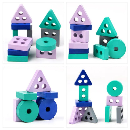 Montessori Toy Wooden Building Blocks Early Learning Educational Toys Color Shape Match Kids Puzzle Toys for Children Boys Girls